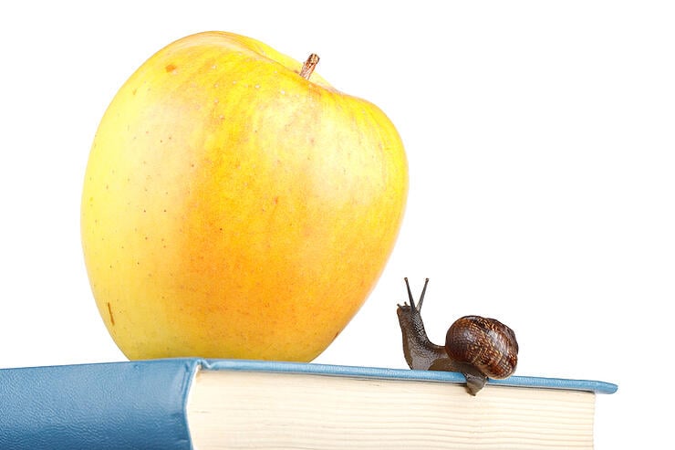 Back To School.