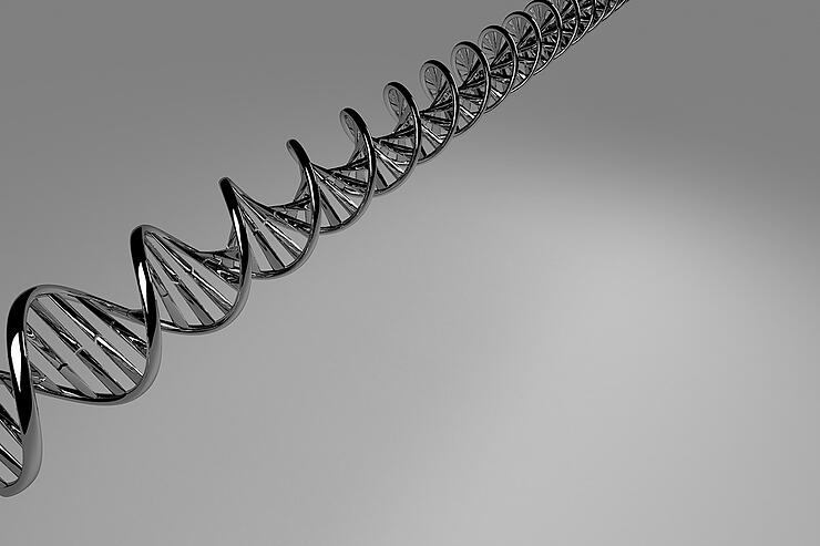 Dna