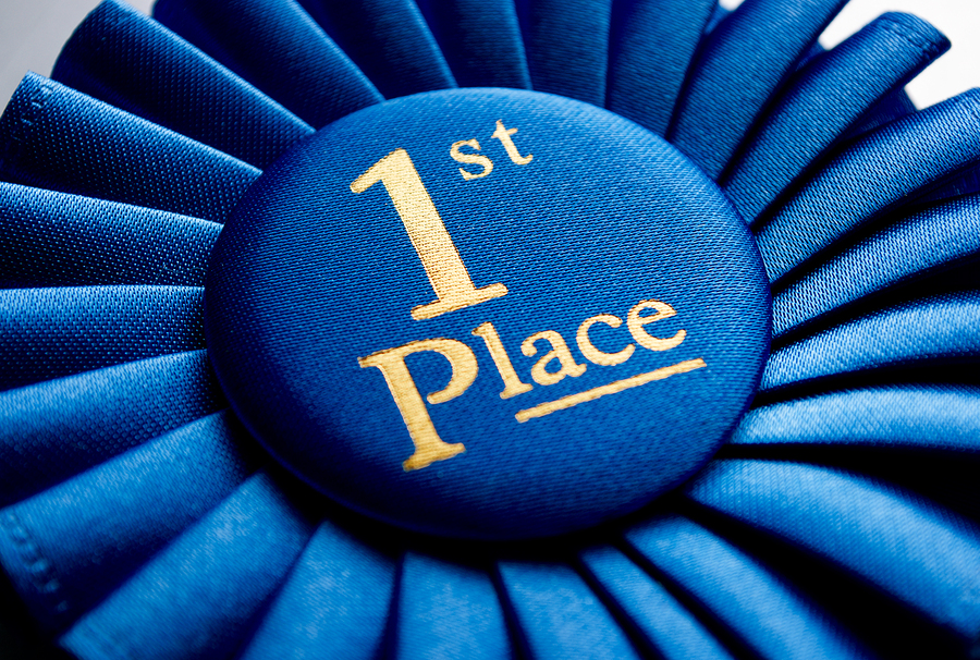 Blue First Place Winner Rosette