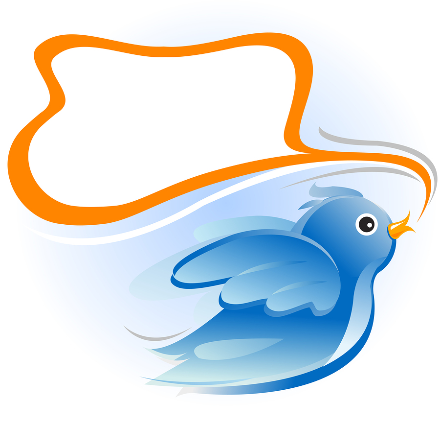 bird