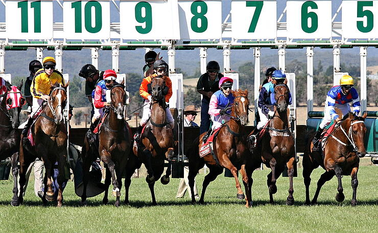 Horse Racing