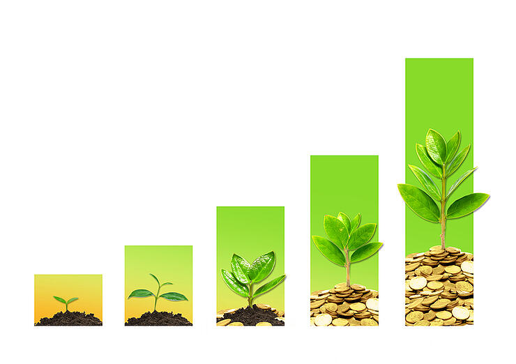 business growth with csr