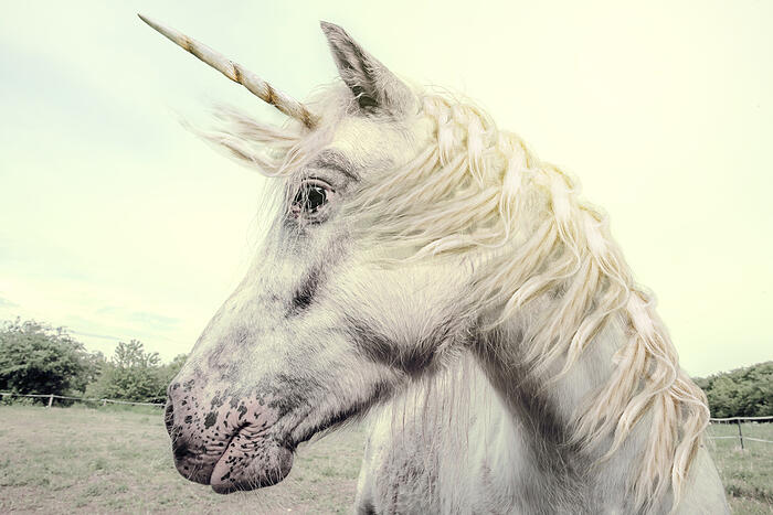 Three essentials for your new year marketing budget (start with a unicorn)