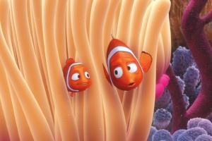 nemo2-341415-edited.jpg
